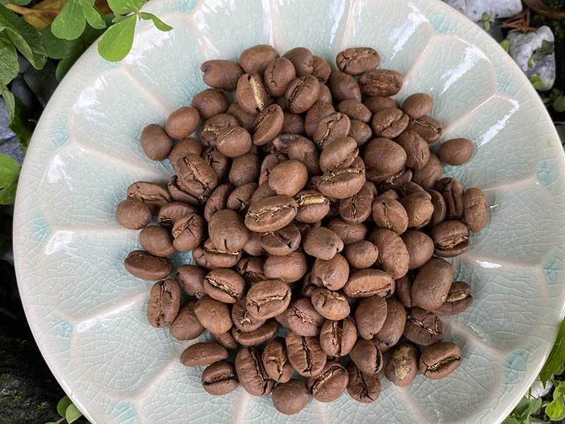 蘇澳龍哥莊園沙地咖啡