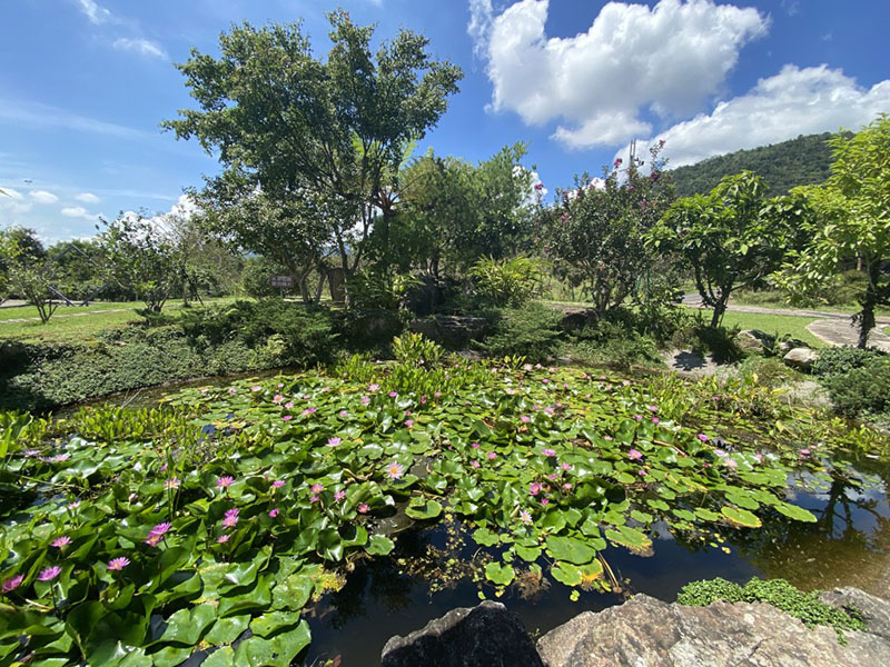雲端紅土咖啡露營區