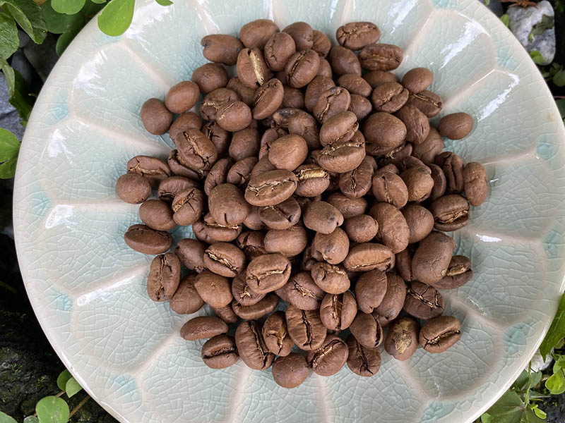 蘇澳龍哥莊園沙地咖啡